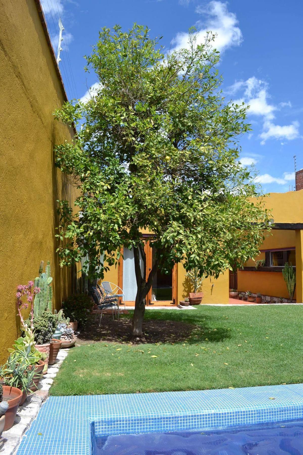 Hotel Casa Catalina San Luis Potosi Ngoại thất bức ảnh